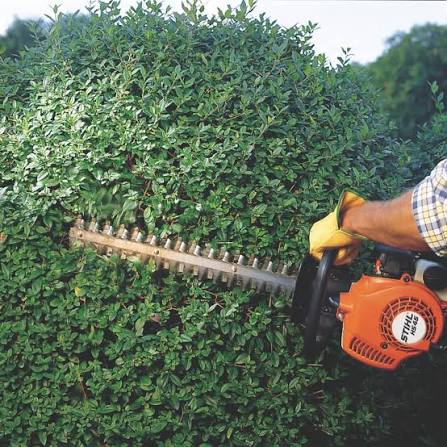 Hedge trimmer (petrol)
